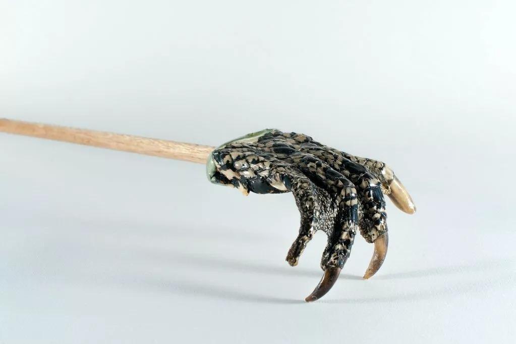 Authentic Real Alligator Paw Back Scratcher - Unique Handcrafted Reptile Gift, Natural Gator Claw