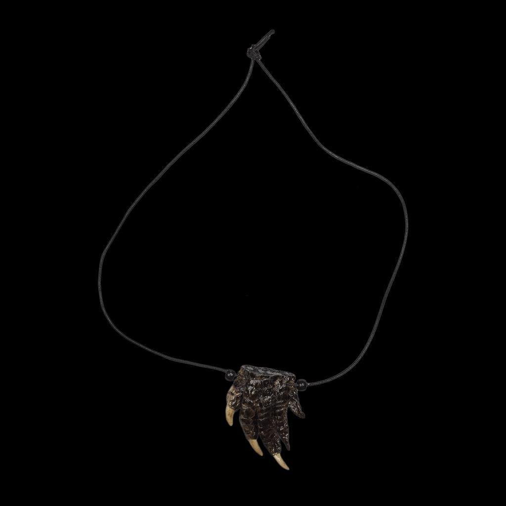 Authentic Gator Paw Necklace | Unique Alligator Claw Pendant | Wildlife Jewelry