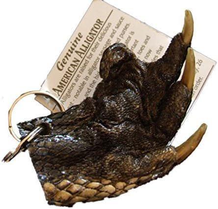 Title: Real Gator Claw Keychain | Authentic Florida Alligator Souvenir | Unique Gift