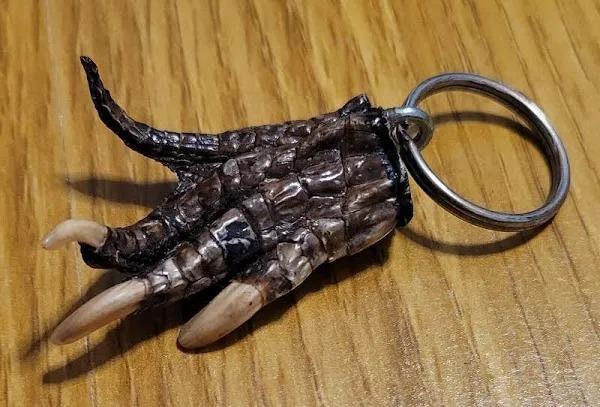Title: Real Gator Claw Keychain | Authentic Florida Alligator Souvenir | Unique Gift